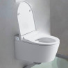 Integrated High-End Smart Shower Toilet SplashLet 3000RC